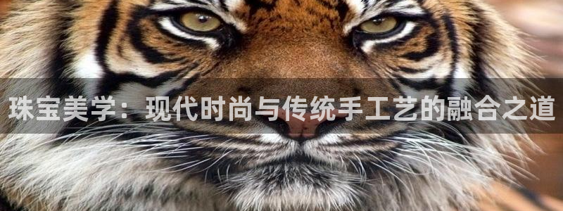 天宏娱乐m 判官