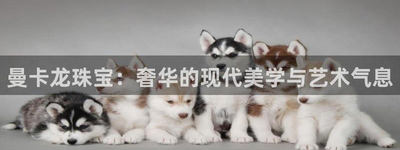 天宏娱乐是干嘛的