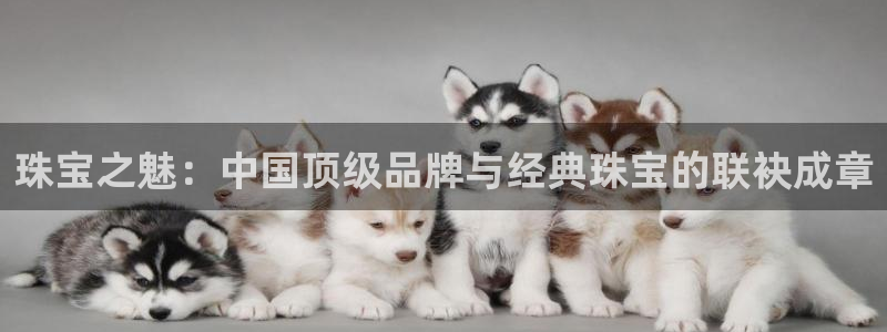 天宏娱乐吴叔抖音