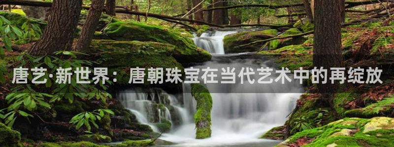 西安天宏娱乐直播间