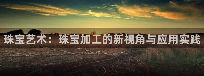 株洲天宏娱乐会所地址