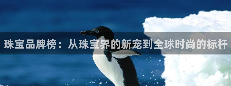 天宏娱乐陈叔