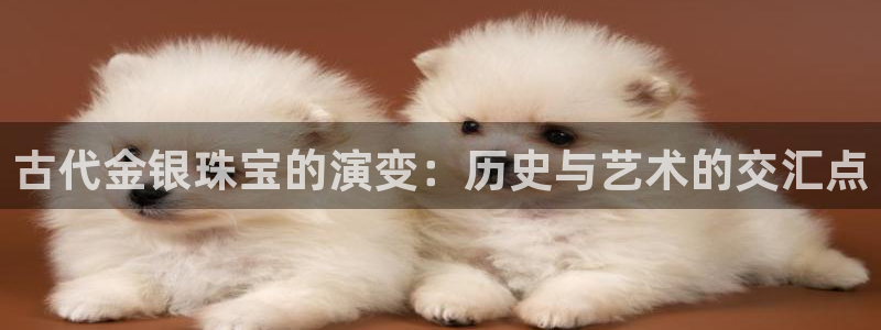 天宏娱乐涛涛