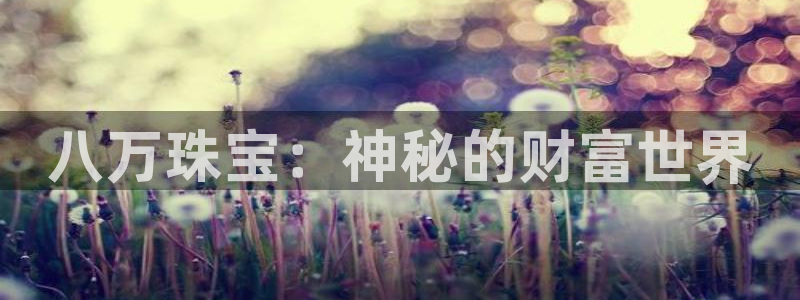 天宏娱乐集团董事长