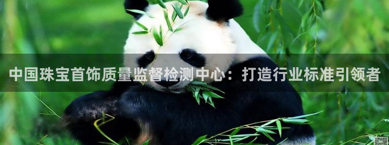 天宏娱乐直播在线观看高清