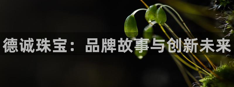 天宏娱乐有明星么