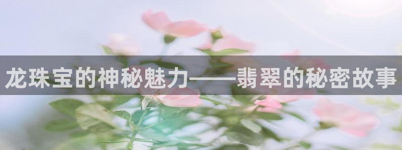 天宏娱乐时时彩：龙珠宝的神秘魅力——翡翠的秘密故事