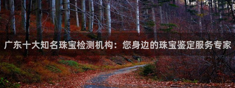 天宏娱乐刘叔：广东十大知名珠宝检测机构：您身边的珠宝鉴定服务