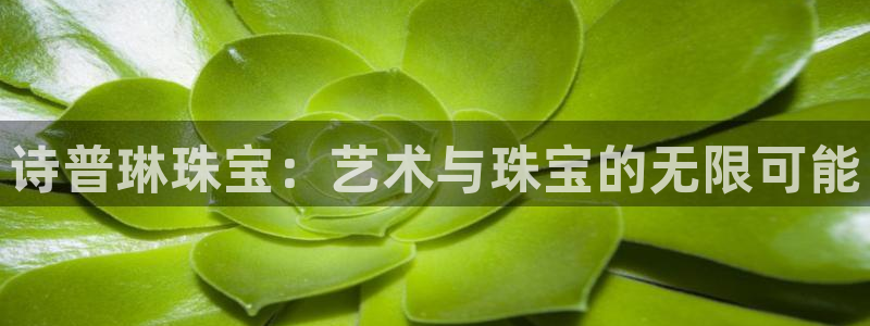 天宏娱乐天跃传媒：诗普琳珠宝：艺术与珠宝的无限可能
