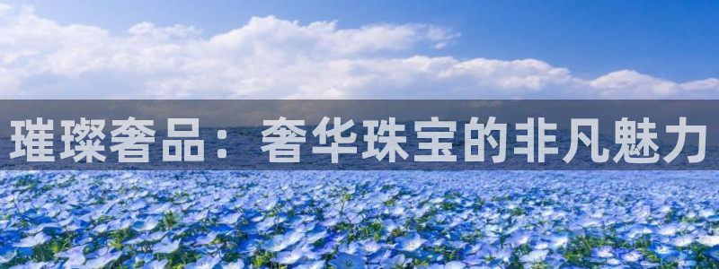 天宏娱乐小号怎么玩：璀璨奢品：奢华珠宝的非凡魅力