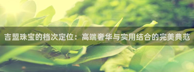 天宏娱乐32937股东：吉盟珠宝的档次定位：高端奢华与实用结
