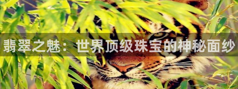 天宏娱乐天跃传媒
