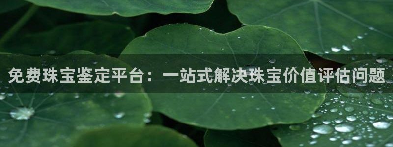 广州宏创天美娱乐文化：免费珠宝鉴定平台：一站式解决珠宝价值评