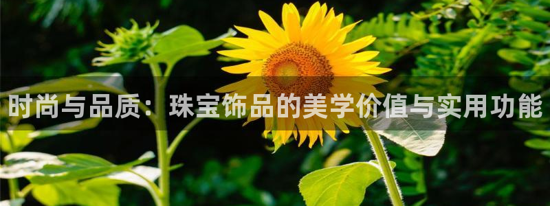天宏娱乐关叔：时尚与品质：珠宝饰品的美学价值与实用功能