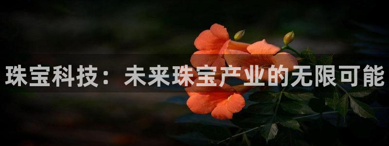 天宏娱乐是干嘛的：珠宝科技：未来珠宝产业的无限可能