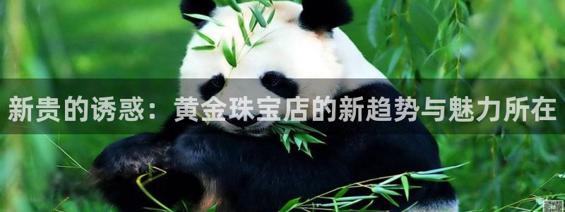 天宏娱乐怎么注册：新贵的诱惑：黄金珠宝店的新趋势与魅力所在