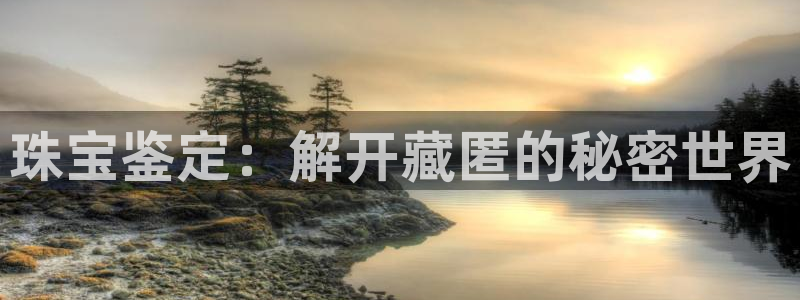 天宏娱乐董事长简历：珠宝鉴定：解开藏匿的秘密世界